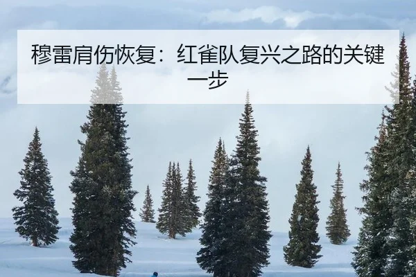 穆雷肩伤恢复：红雀队复兴之路的关键一步