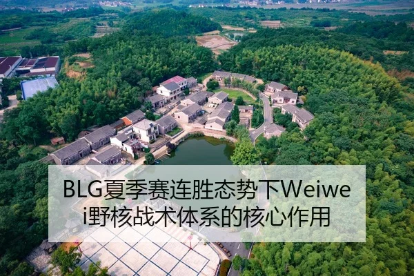 BLG夏季赛连胜态势下Weiwei野核战术体系的核心作用