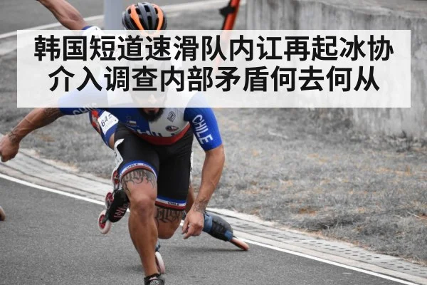 韩国短道速滑队内讧再起冰协介入调查内部矛盾何去何从