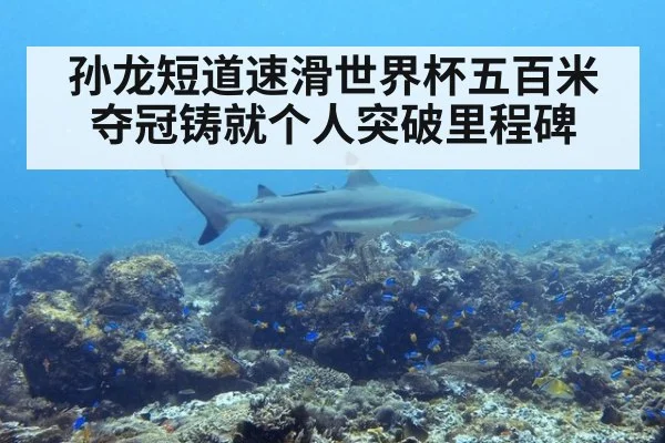 孙龙短道速滑世界杯五百米夺冠铸就个人突破里程碑